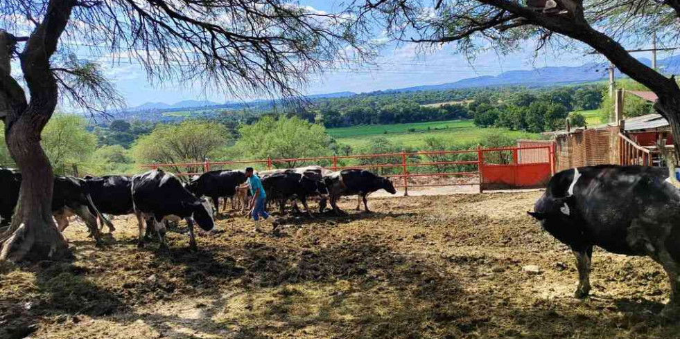 Invitan a productores pecuarios de Aguascalientes a inscribirse en la Clínica Veterinaria Ambulatoria