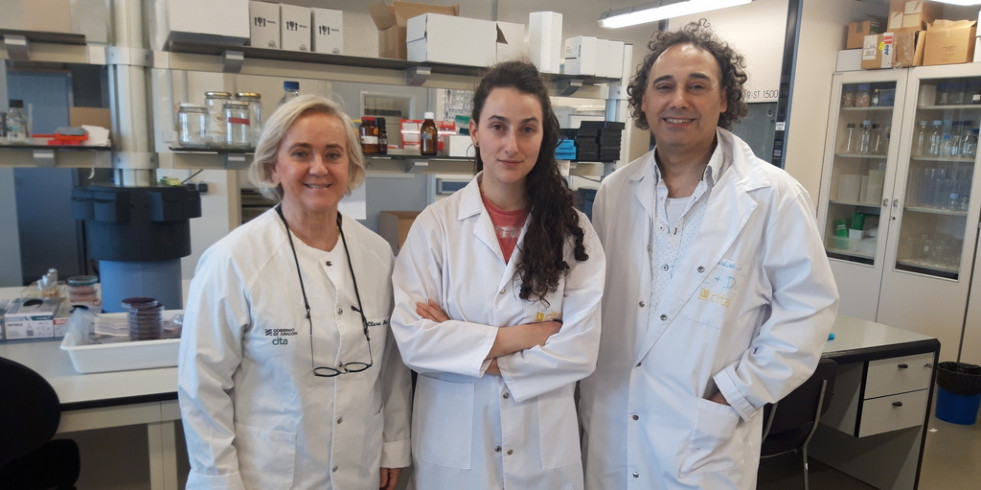 Hallan alta resistencia a antibióticos en un peligroso patógeno porcino que puede afectar a humanos