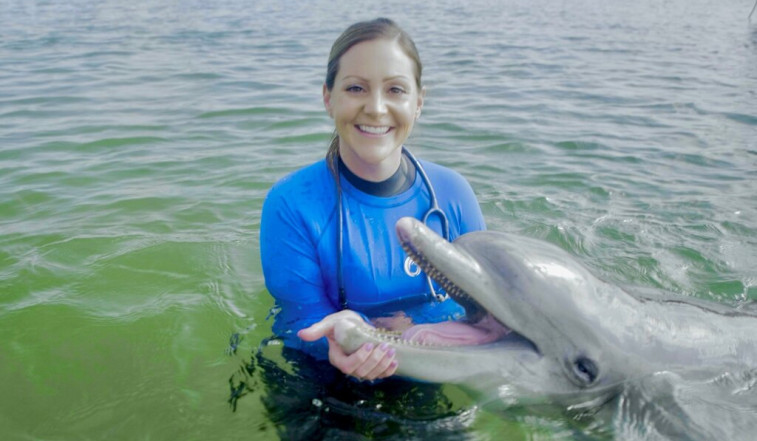 Realizan el primer estudio revisado por pares sobre trasplantes de microbiota fecal en delfines