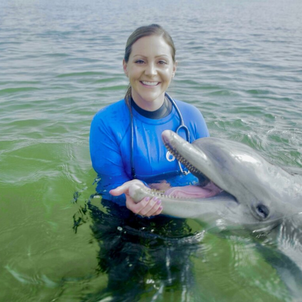 Realizan el primer estudio revisado por pares sobre trasplantes de microbiota fecal en delfines