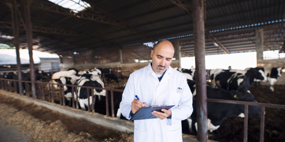 EEUU confirma el primer caso humano de gripe aviar tras entrar en contacto con vacas lecheras infectadas