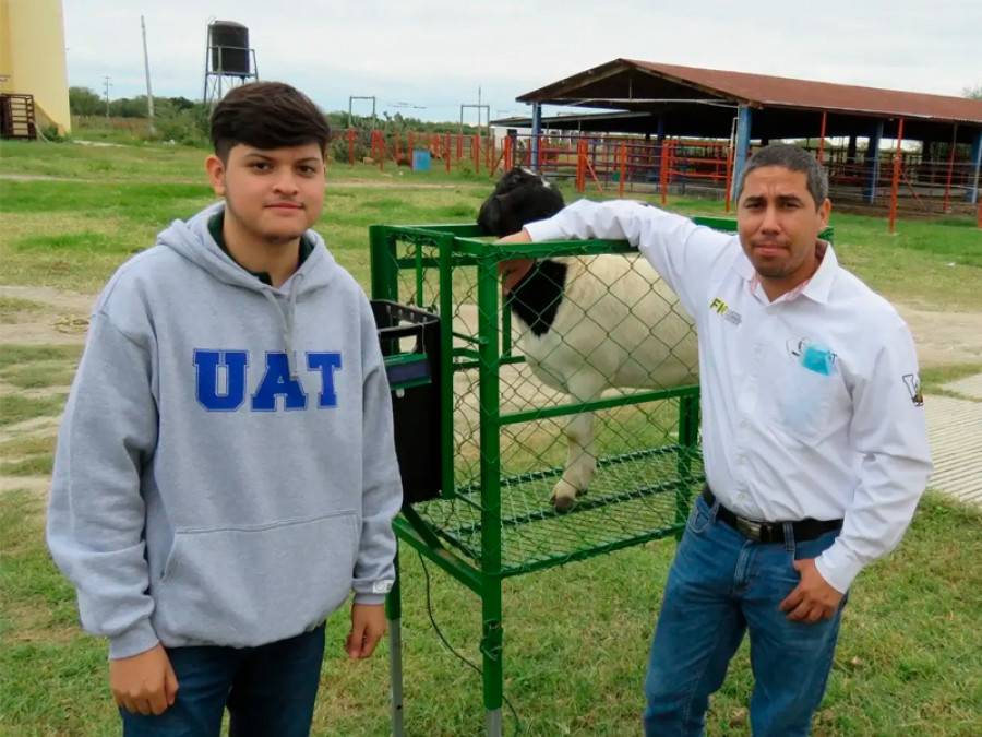 Sistema de monitoreo para la ingesta de alimentos en borregos