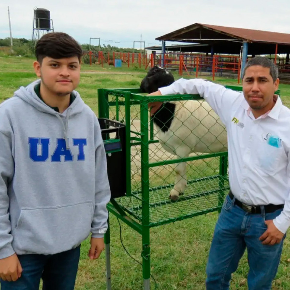 Estudiante mexicano desarrolla un innovador sistema de monitoreo para la ingesta de alimentos en borregos