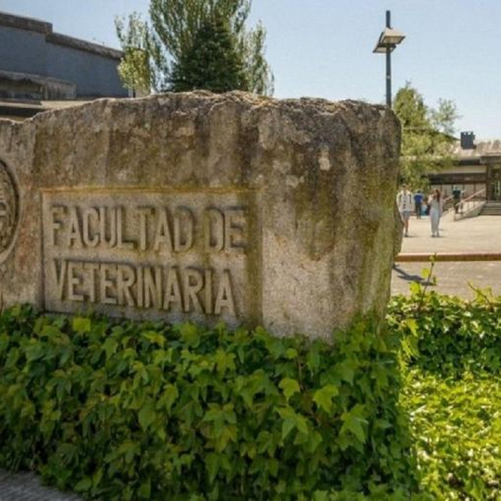 Veterinaria de Lugo consigue el sello de excelencia de la Xunta de Galicia por la calidad universitaria
