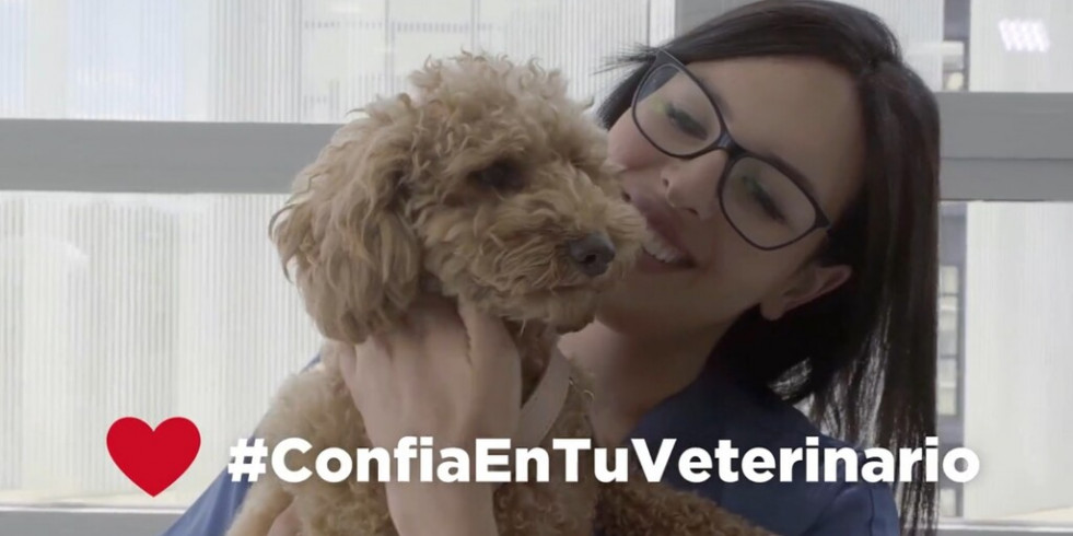Vuelve la campaña #ConfiaEnTuVeterinario que aboga por el veterinario como fuente principal de información
