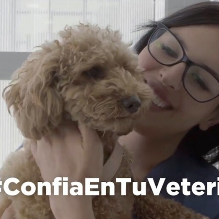 Vuelve la campaña #ConfiaEnTuVeterinario que aboga por el veterinario como fuente principal de información