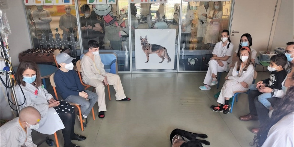 El Hospital Universitario de Burgos incorpora en pediatría una terapia pionera con perros