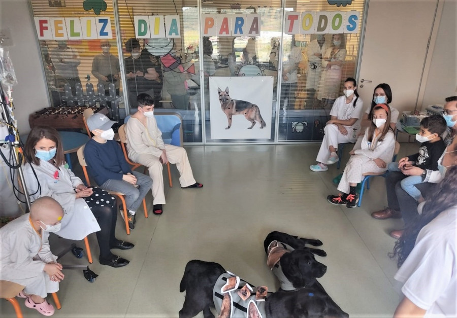 Terapia niños perros hospital burgos