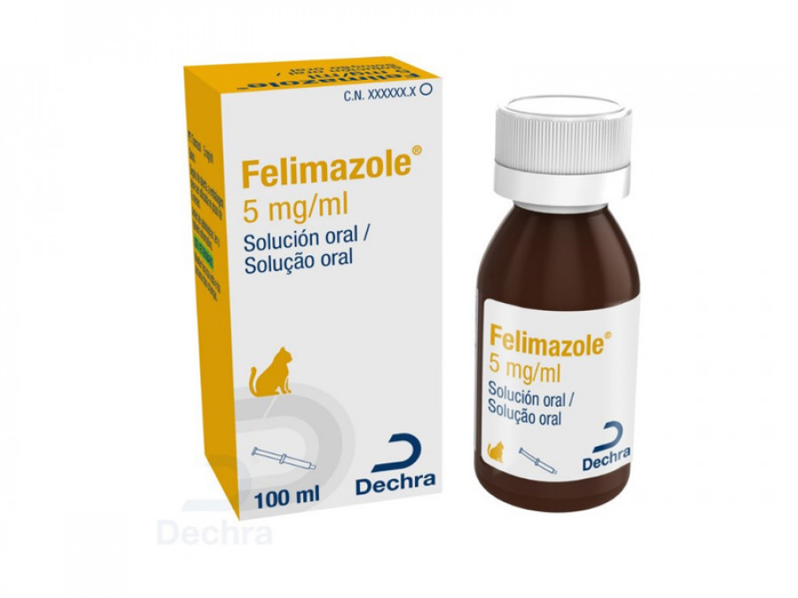 Felimazole dechra