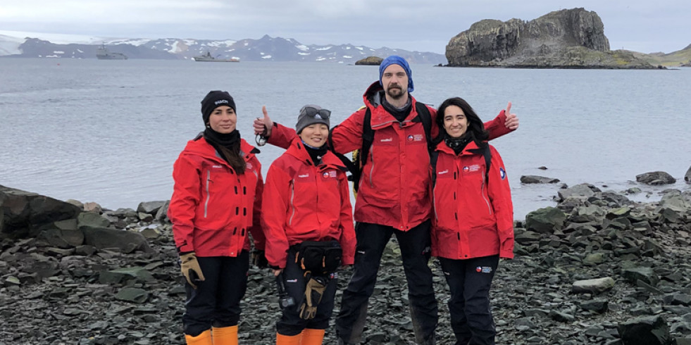 Logran secuenciar por primera vez el genoma completo de la influenza aviar altamente patógena en la Antártica