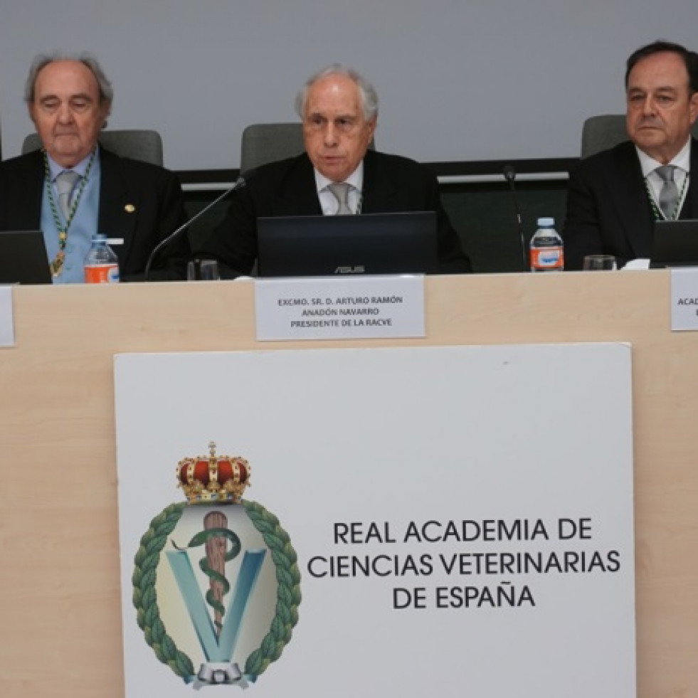 La Real Academia de Ciencias Veterinarias de España convoca tres plazas