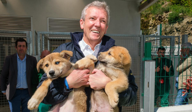 Galicia destinará ayudas para cubrir los primeros gastos veterinarios tras adoptar a una mascota abandonada