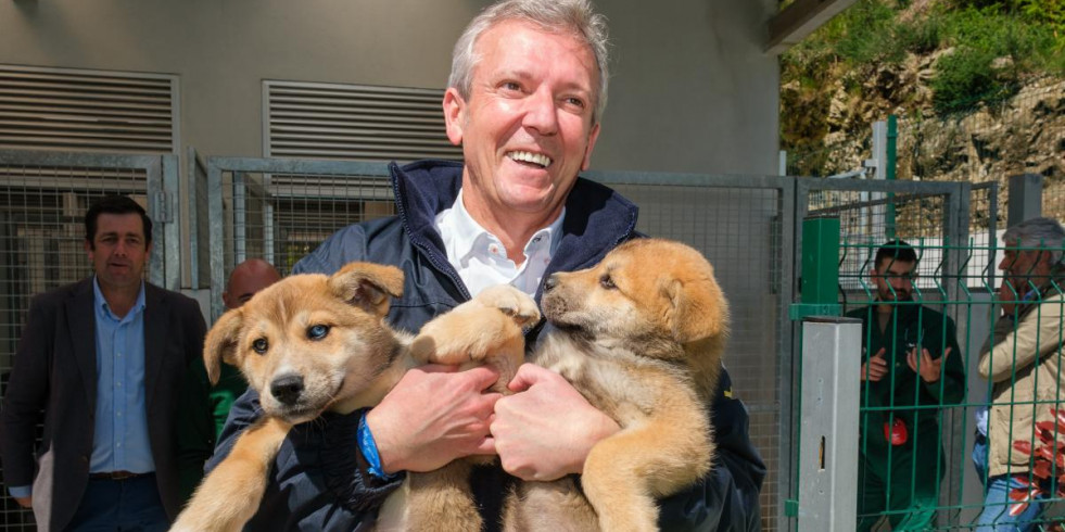 Galicia destinará ayudas para cubrir los primeros gastos veterinarios tras adoptar a una mascota abandonada
