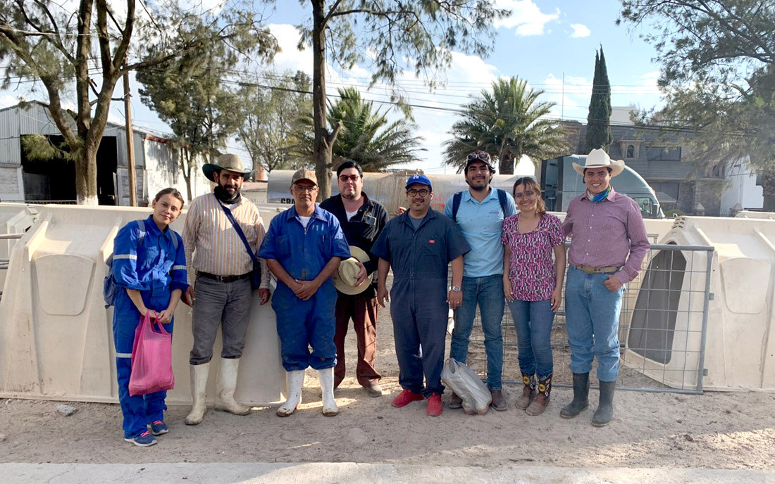 Veterinarios tizayuca