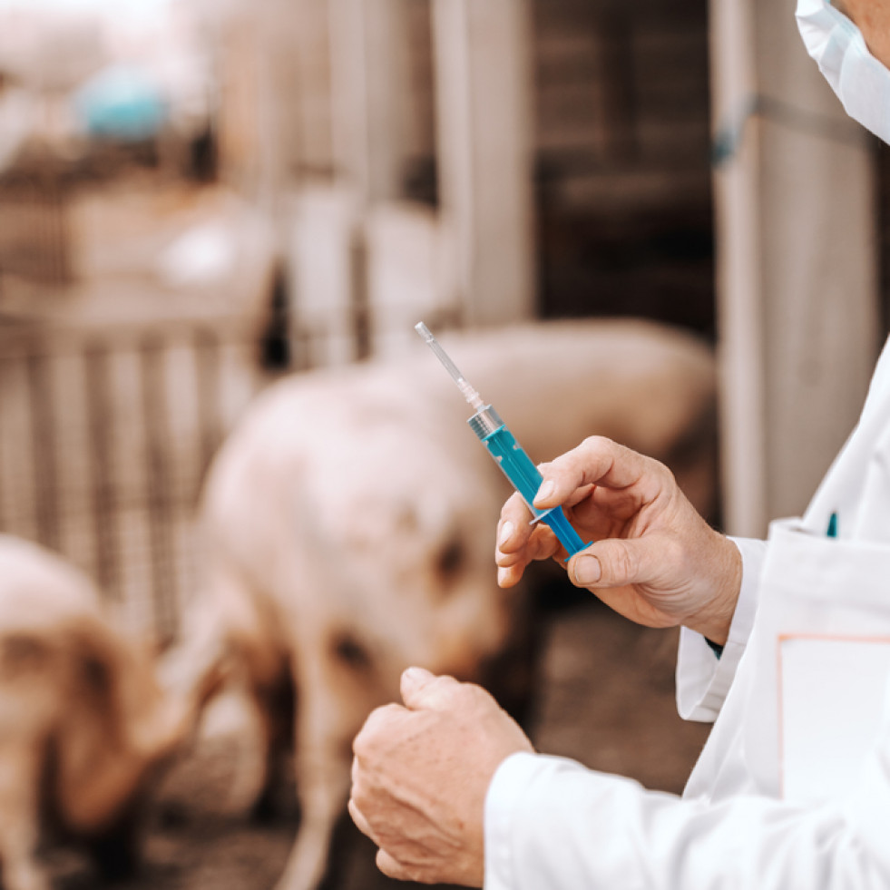 La inmunización de los animales contribuye a salvar cada año millones de vidas humanas