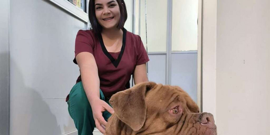 Veterinaria UJED