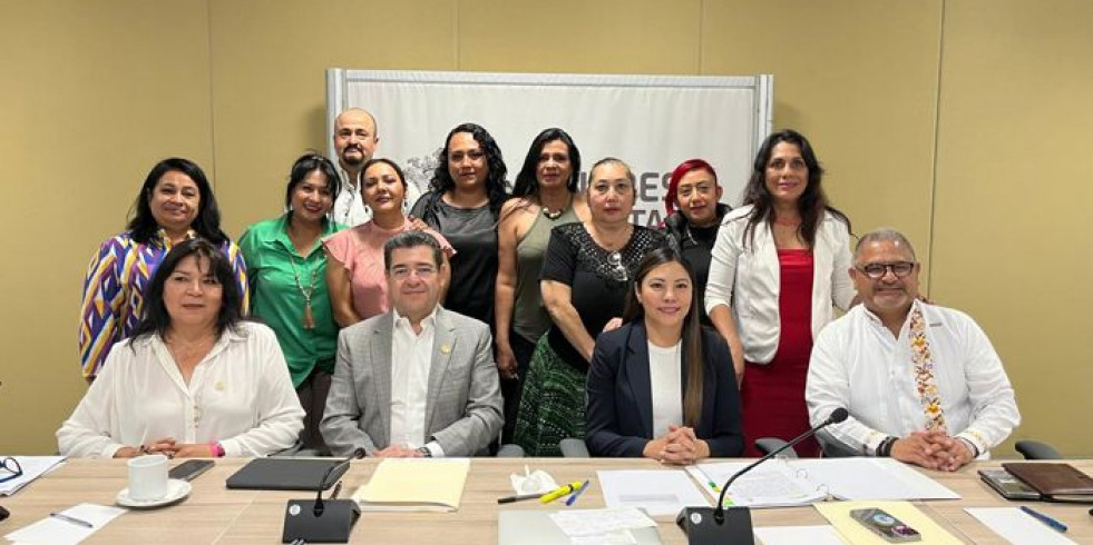 Un estado de México quiere crear clínicas veterinarias públicas