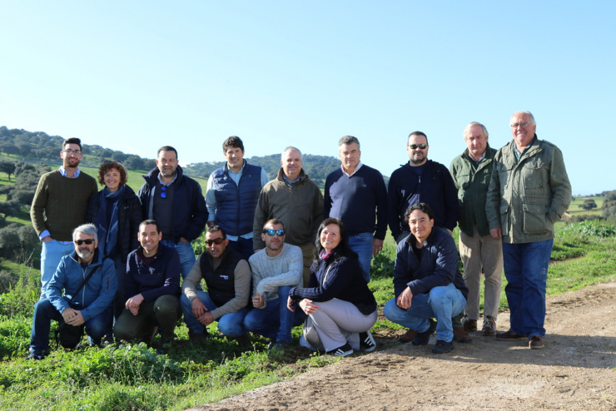 Grupo SoloExtensivo(1)