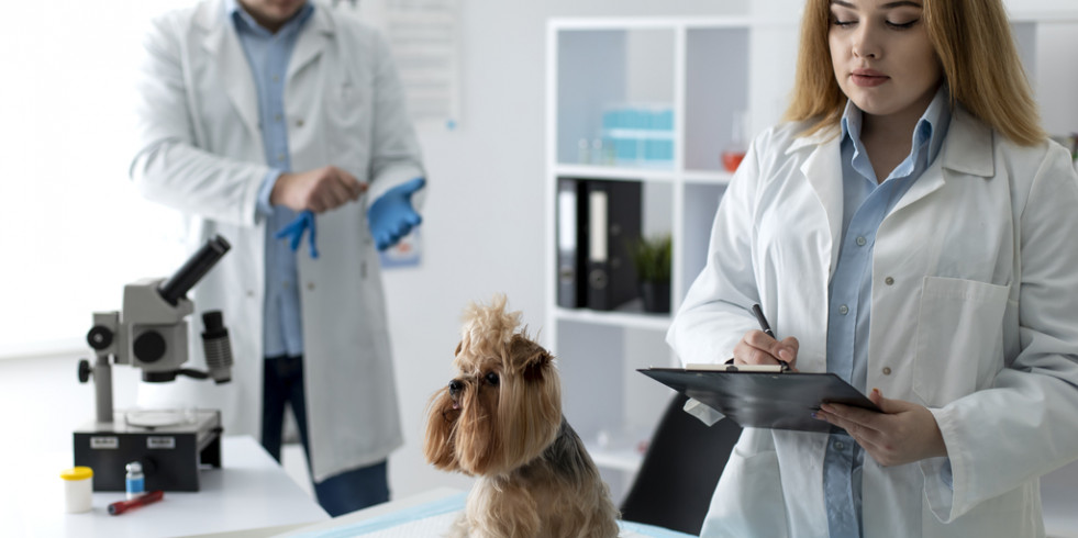 Eficacia y mayor satisfacción: el papel de la tecnología en la clínica veterinaria