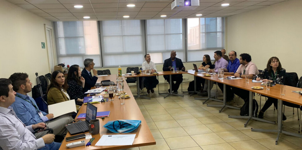 El Comité Veterinario de Porcinos del Cono Sur avanza en la prevención de la peste porcina africana