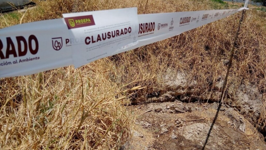 Clausuran granja porcícola Jalisco
