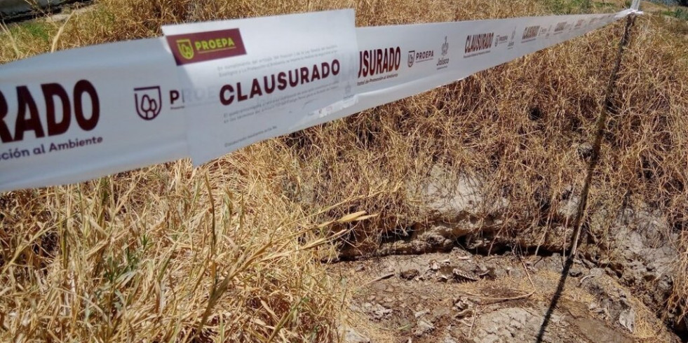 Clausuran parcial y temporalmente una granja porcícola en Jalisco