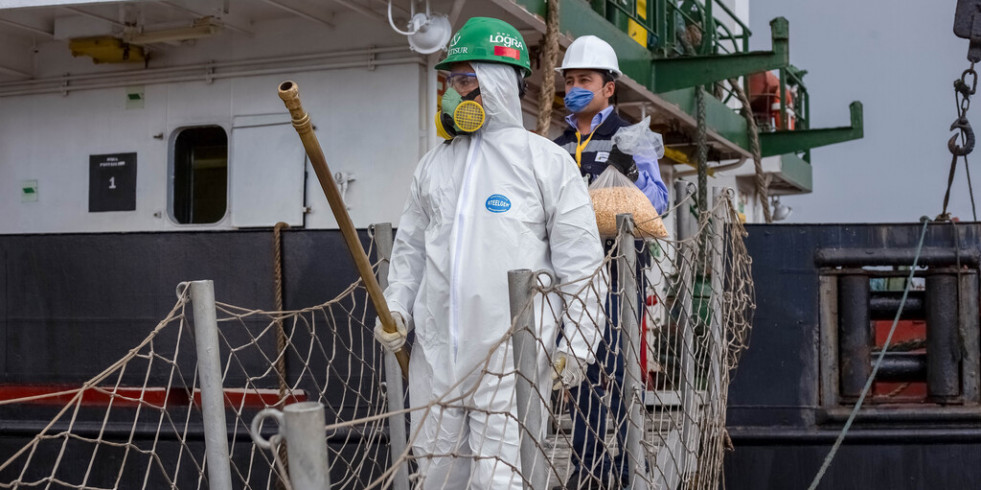 México eleva alerta sanitaria por presencia de gusano barrenador del ganado en Centroamérica