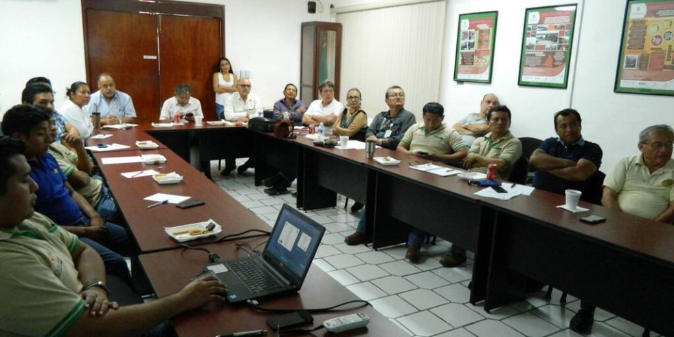 Nueva vacante laboral en Campeche dirigida a veterinarios