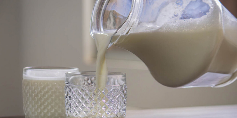 La confluencia de microorganismos puede afectar la eficacia de las pruebas tradicionales para detectar bacterias en la leche
