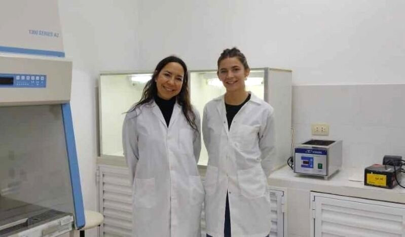 Proyecto abortos equinos