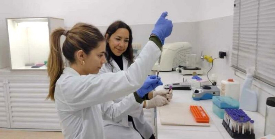 Proyecto abortos equinos