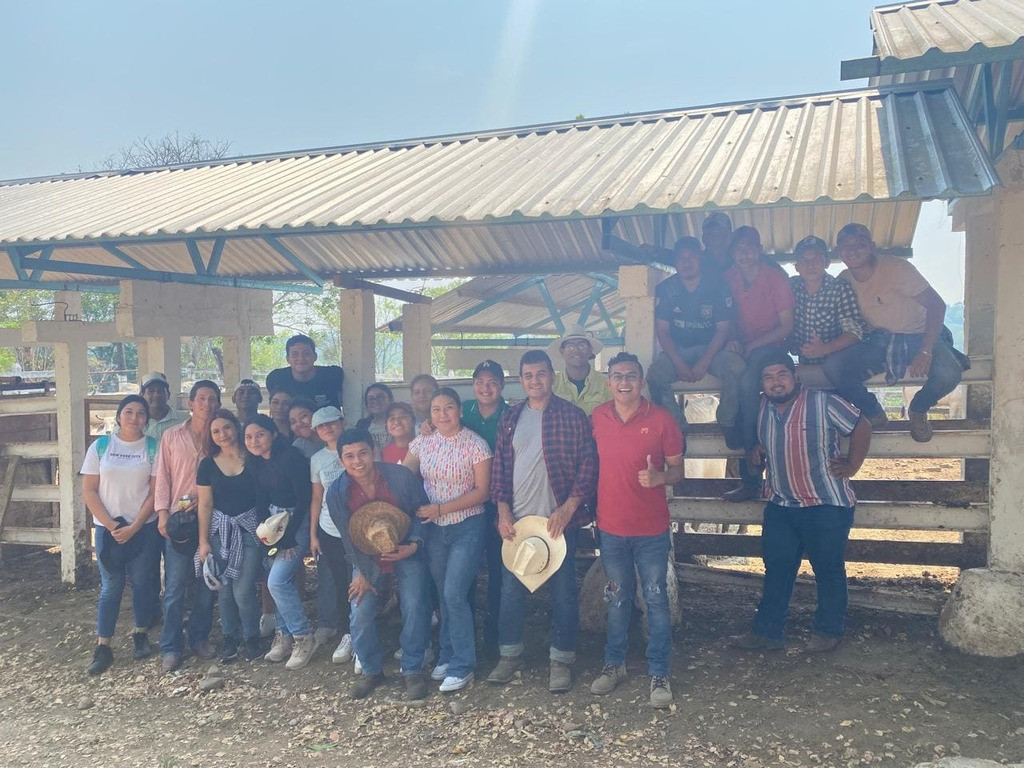 Bóvinos carne del trópico Inifap