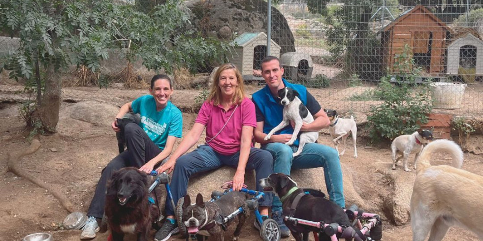Nuevo apoyo de Hill's Pet Nutrition a una asociación de animales para proporcionarles una nutrición de calidad