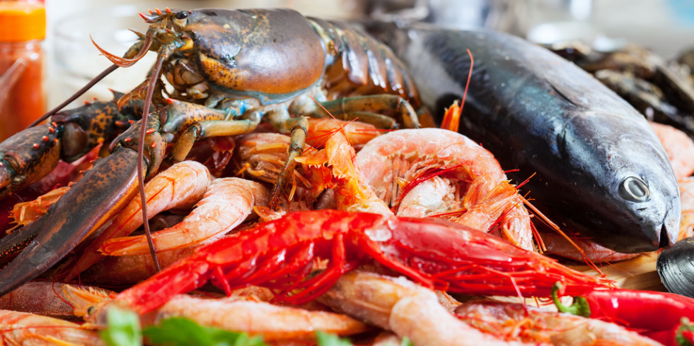 Aumenta el riesgo de las bacterias Vibrio en mariscos debido al cambio climático y la RAM