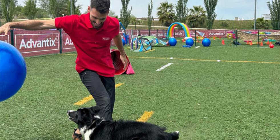 Las Dogolimpiadas, una divertida iniciativa para fomentar la prevención de la leishmaniosis canina