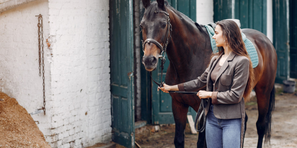 Consejos para abordar el trastorno de estrés postraumático de los caballos y crear un vínculo más fuerte