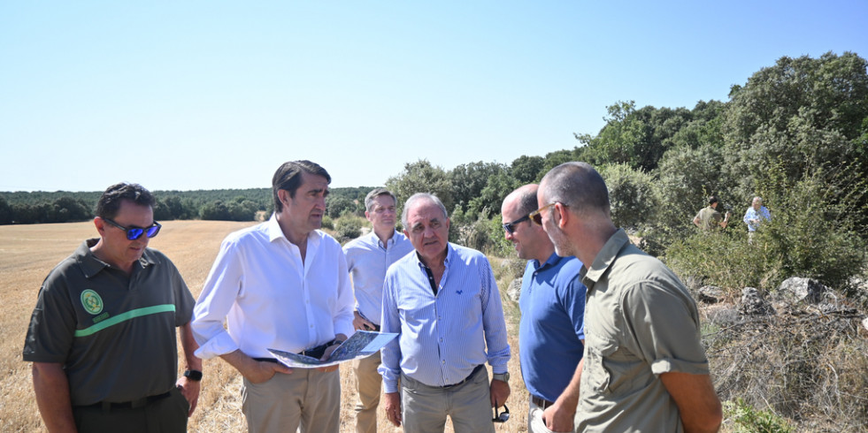 Castilla y León destina casi 2 millones de euros para la reintroducción del lince ibérico