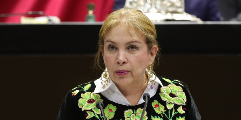 Impulsan iniciativa para garantizar el acceso de perros guía y de asistencia certificados en todos los medios de transporte