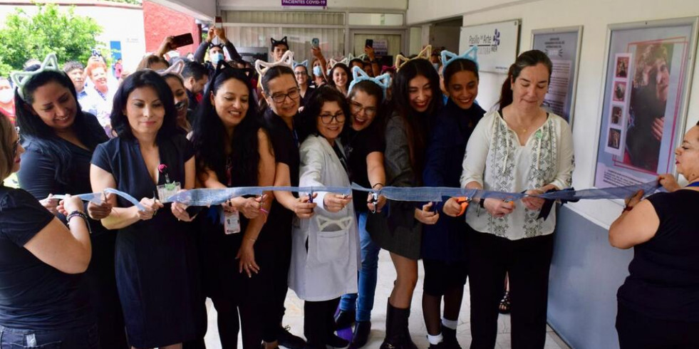Inauguran exposición fotográfica conmemorativa del Día Internacional del Gato en CDMX