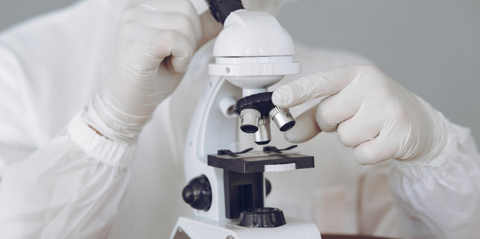 Instan a mejorar las estrategias de control y las pruebas de laboratorio de Trichinella spp. en España