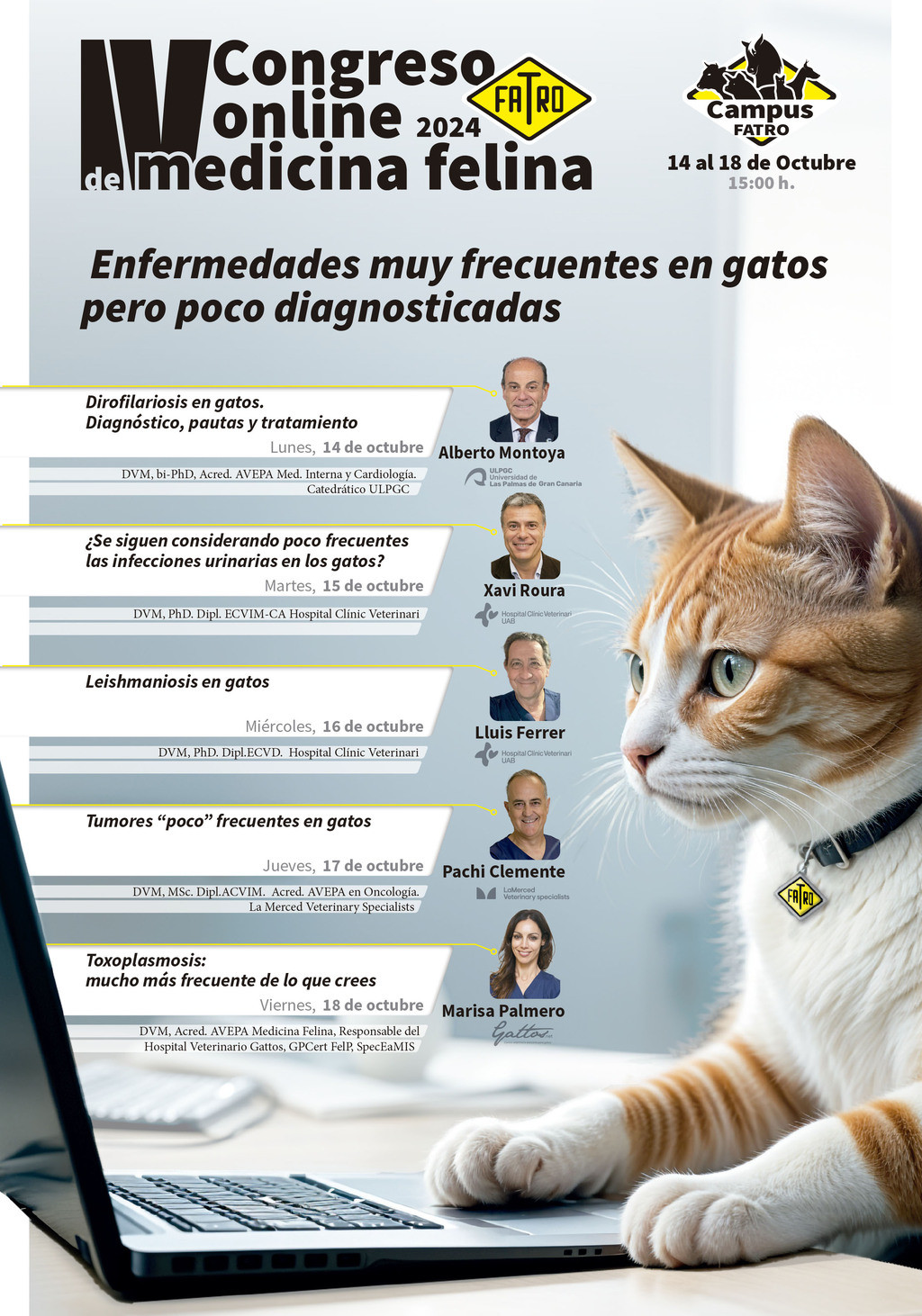 Flyer Congreso Medicina Felina 24 Fatro