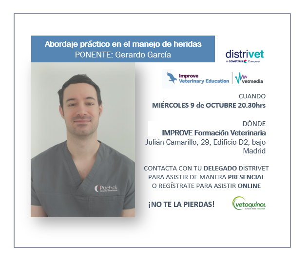 CURSO IMPROVE GERARDO GARCu00cdA