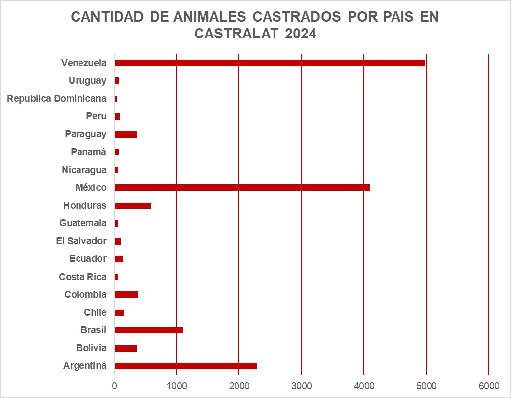 Castralat 2024