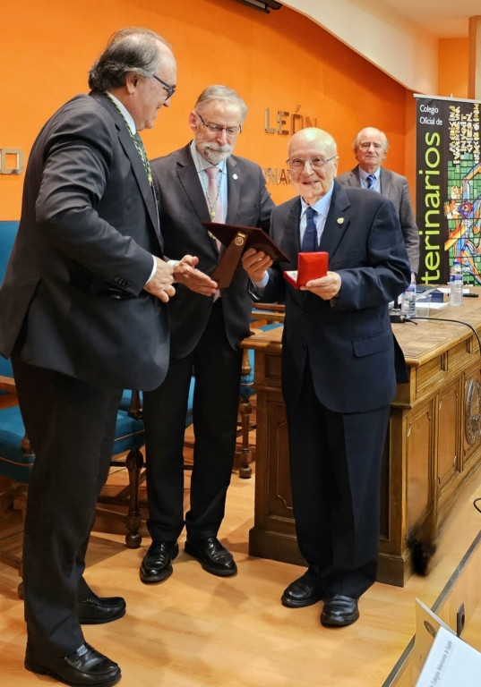 Ferri medalla