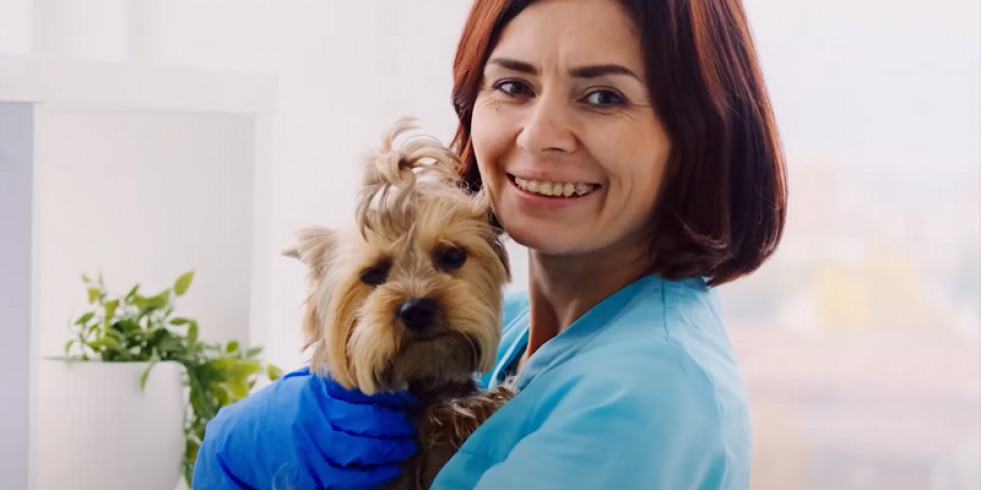 “Cuidan a tu mascota, nos cuidan a todos”, la campaña que destaca el papel fundamental del veterinario para la salud pública