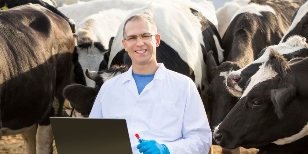 Analizan los obstáculos y las oportunidades para implementar la telemedicina veterinaria en ganadería