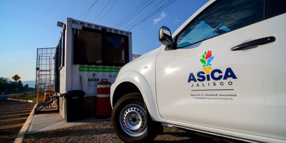 Jalisco refuerza medidas de prevención ante el riesgo de ingreso del gusano barrenador del ganado