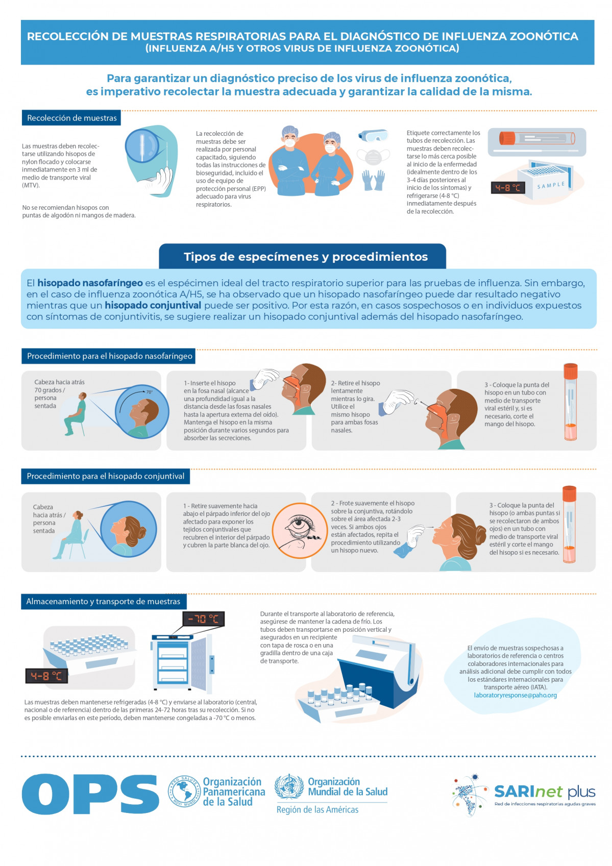 Infografía recolección muestras influenza zoonótica