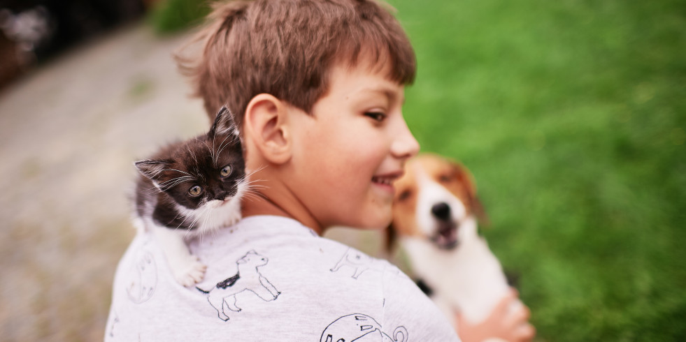 Desarrollan menos alergia los niños que crecen en granjas o con mascotas
