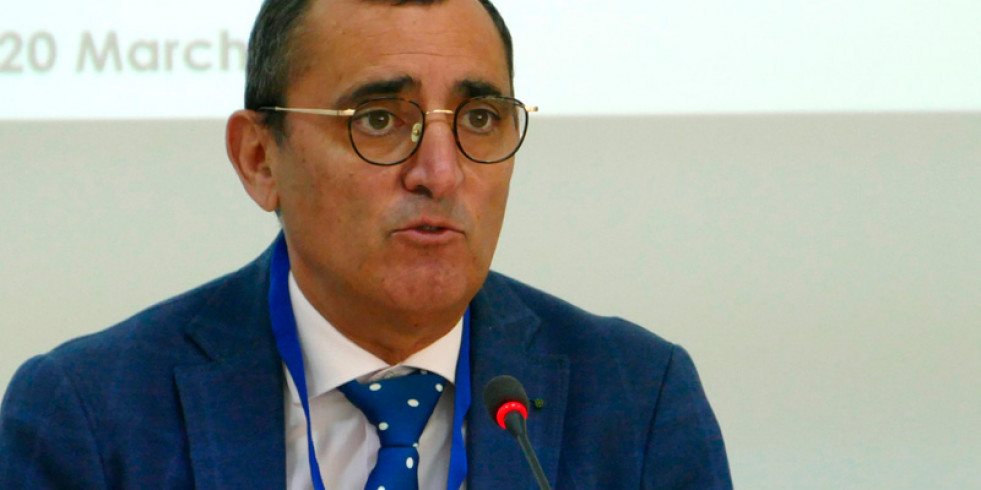 Nueva actualización de la situación de la lengua azul en España